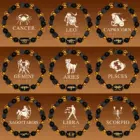 12 Zodiac Bracelets Natural Stone Cancer Virgo Leo Libra Bracelet Couples Friendship Gifts Bracelets jewelry pulsera hombre 2