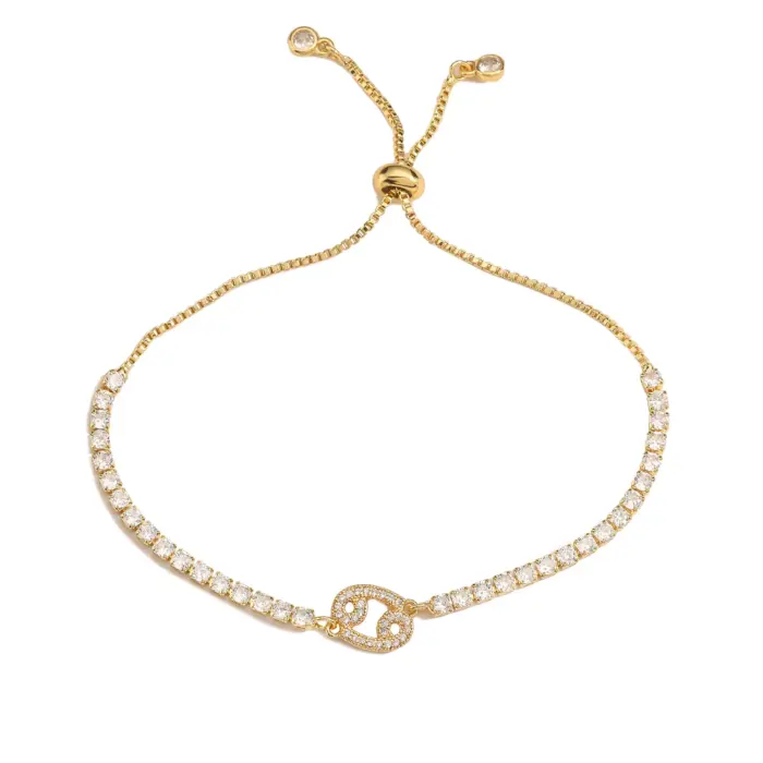 HECHENG,Constellation bracelet,Star Zodiac Sign 12 Constellation Bracelet Zircon Charm Gold Color Chain Bracelet for Women Birth 5