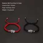 Handmade 999 Pure Silver Feng Shui Pixiu Charms Rope Braided Bracelet Good Luck Wealth Unisex Wristband Friendship Jewelry Gift 2
